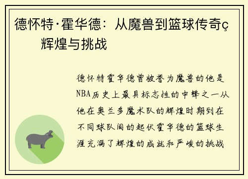 德怀特·霍华德：从魔兽到篮球传奇的辉煌与挑战